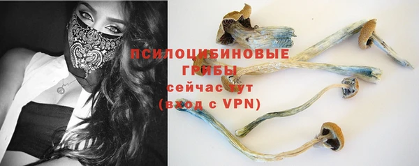 прущий лед Аркадак
