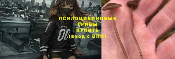 прущий лед Аркадак