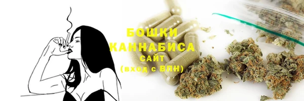 амф Вязьма
