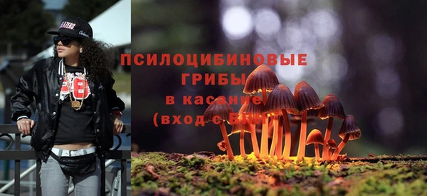 прущий лед Аркадак