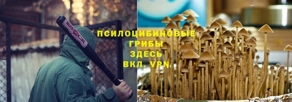 прущий лед Аркадак